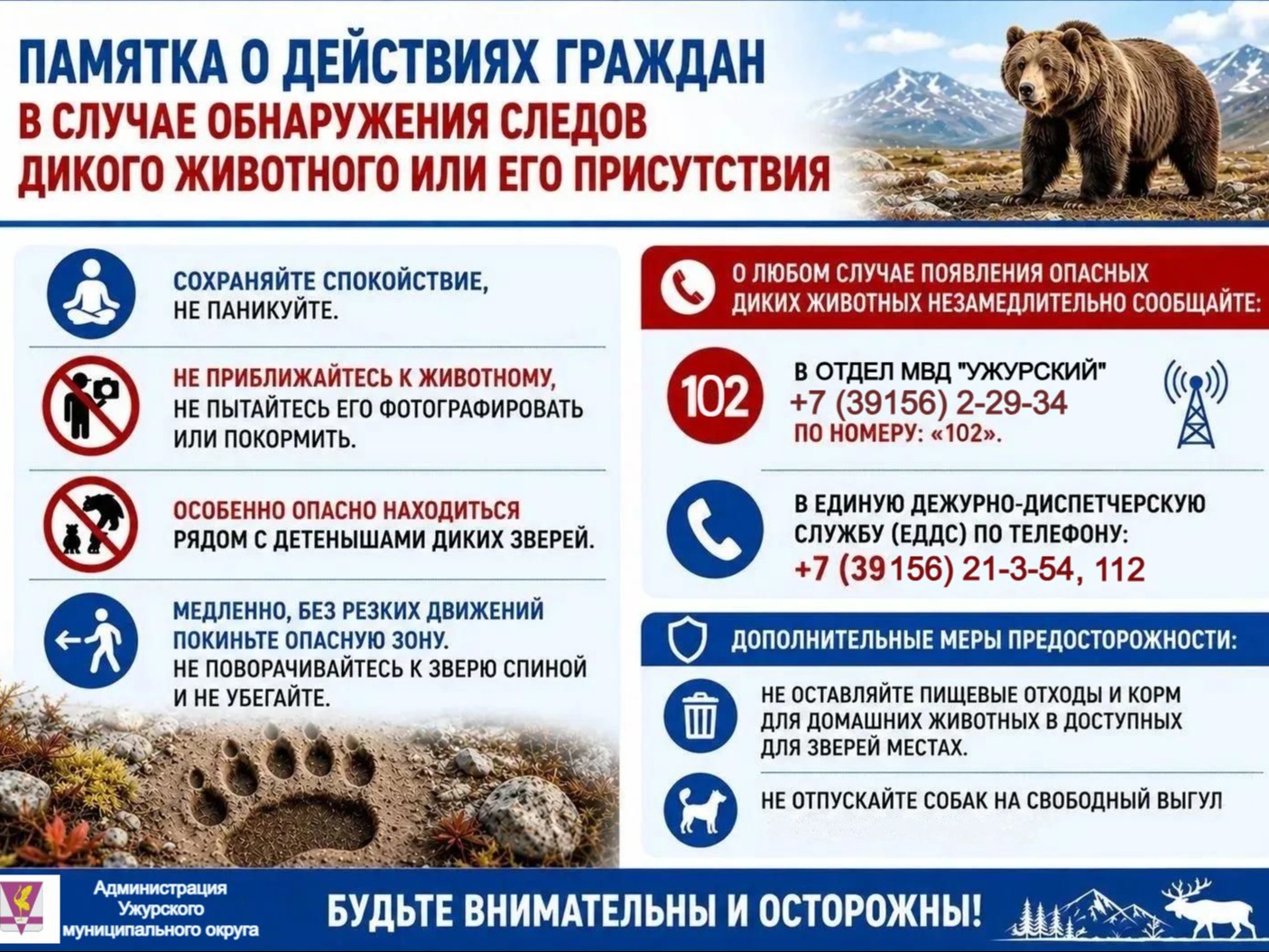 Осторожно, медведь! Активность хищников в Красноярском крае.